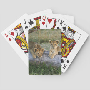 Lion Cubs on Log Playing Cards