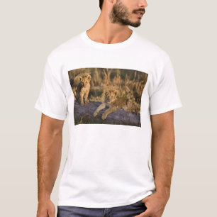 Lion Cubs on Log T-Shirt