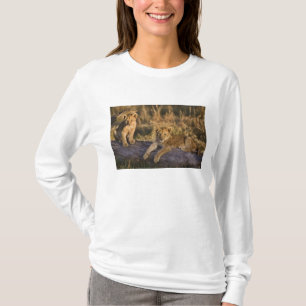 Lion Cubs on Log T-Shirt