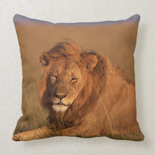 Lion Cushion