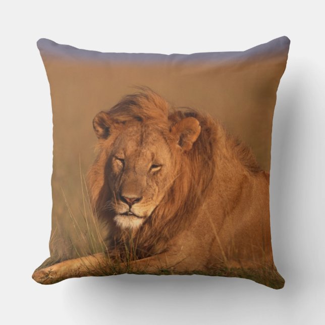 Lion Cushion (Front)
