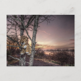 Lion Doll at Dawn Postcard