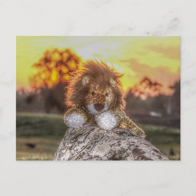 Lion Doll at Sunrise Postcard (Front)