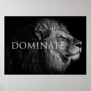 Lion Dominate Like A Lion Poster