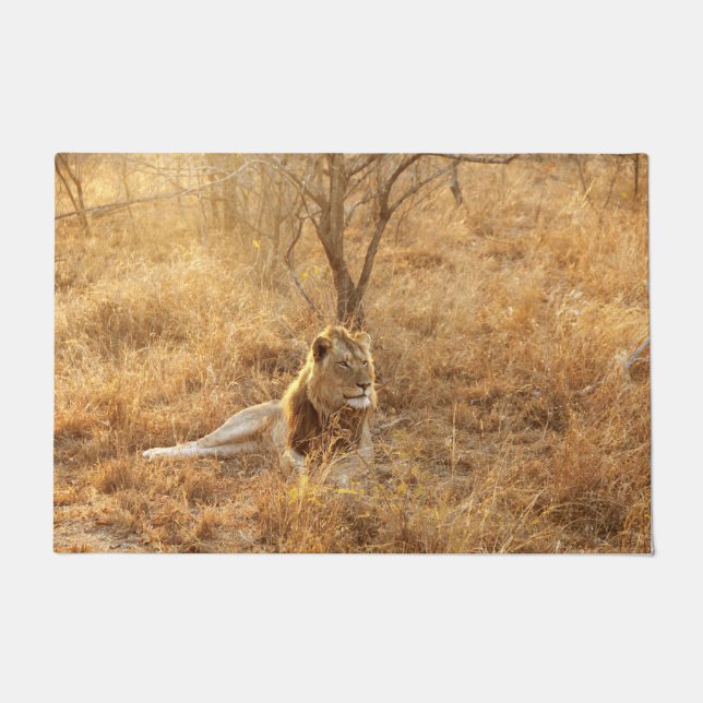 Lion Doormat (Front)