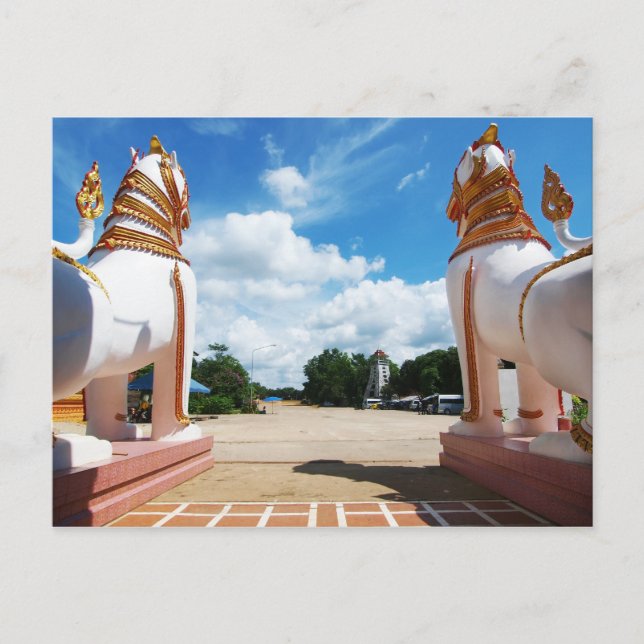 Lion Eye View Postcard (Front)