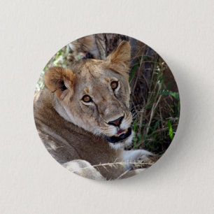 lion face 6 cm round badge