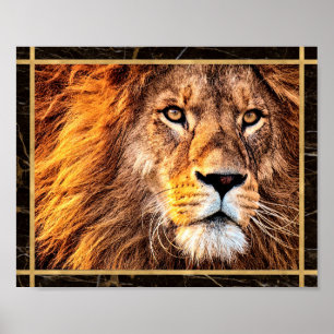 Lion Face Closeup Photo Image Print Poster