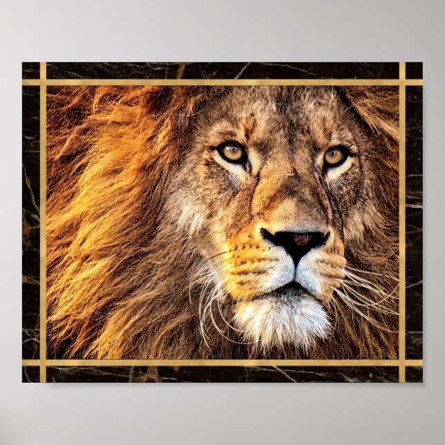 Lion Face Closeup Photo Image Print Poster (Front)