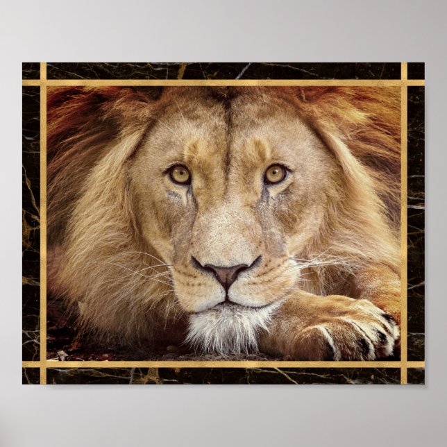 Lion Face Closeup Photograph Image Print Poster (Front)