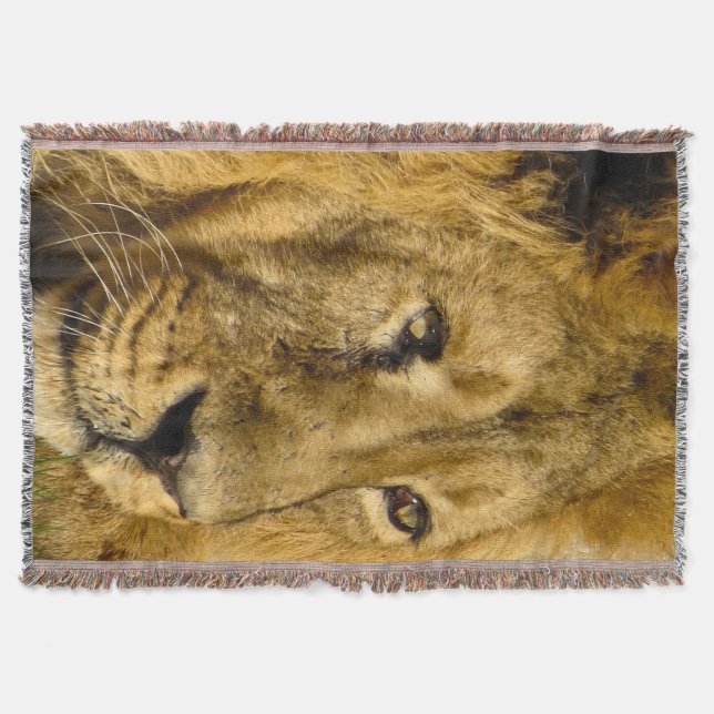 Lion Face Head Wildlife Cat Animal Throw Blanket (Front)