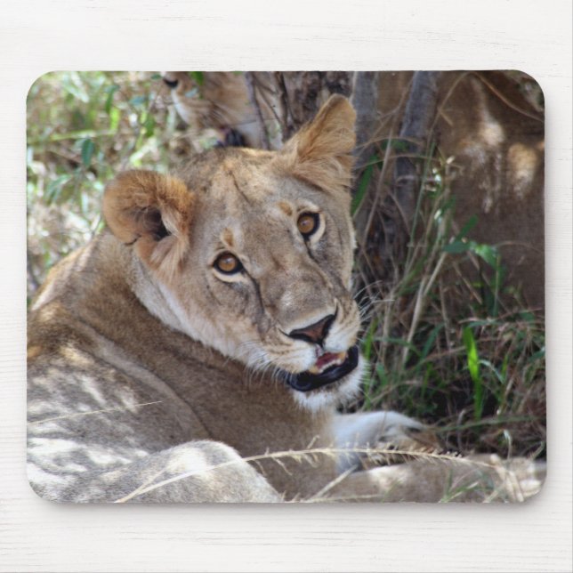 lion face mouse pad (Front)
