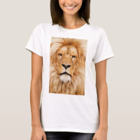 Lion Face Painting Artwork-17335