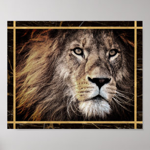 Lion Face Photo Image Print Poster