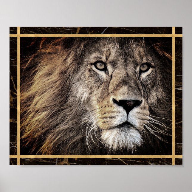 Lion Face Photo Image Print Poster (Front)