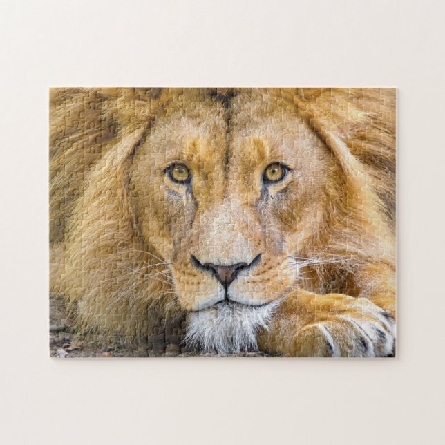 Lion Face Photo Jigsaw Puzzle (Horizontal)