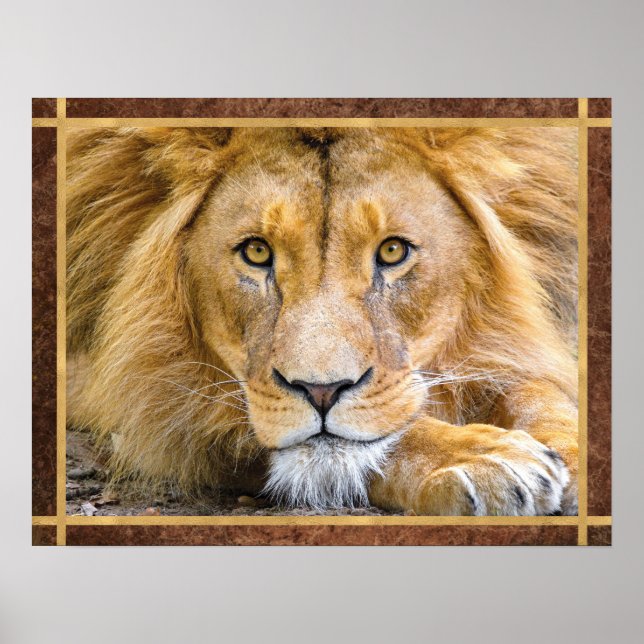 Lion Face Photo Poster (Front)
