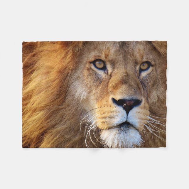 Lion face with mane blanket (Front (Horizontal))