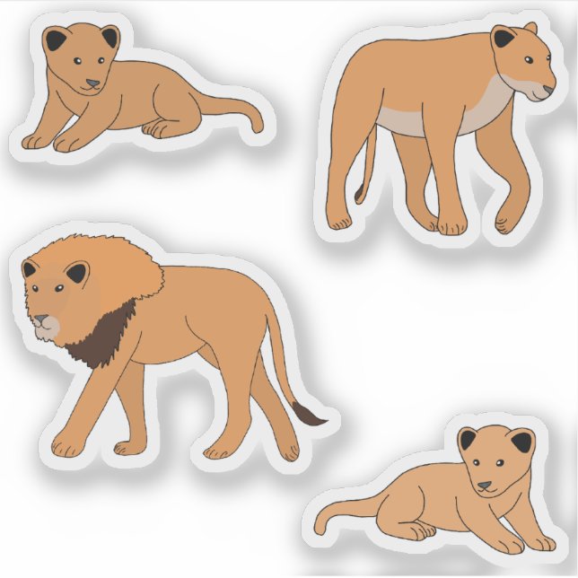 Lion Family (Front)