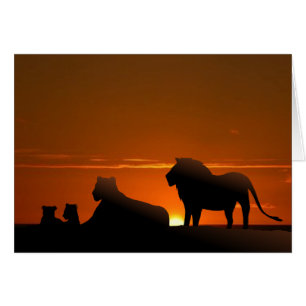 lion family