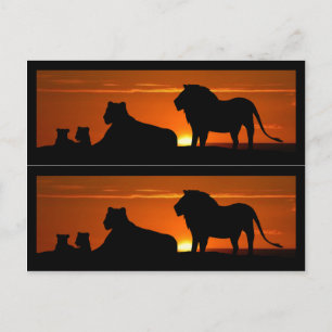 Lion Family Book Markers Postcard