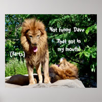 Lion farts