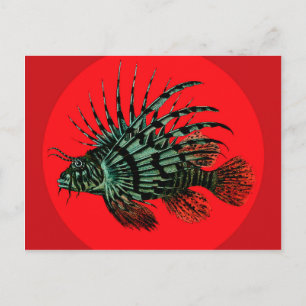 Lion fish Postcard