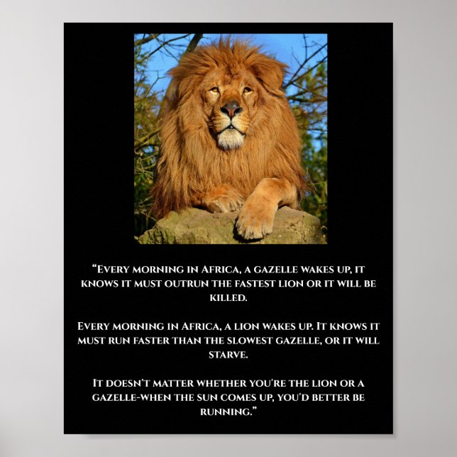 Lion & Gazelle African Quote Poster (Front)