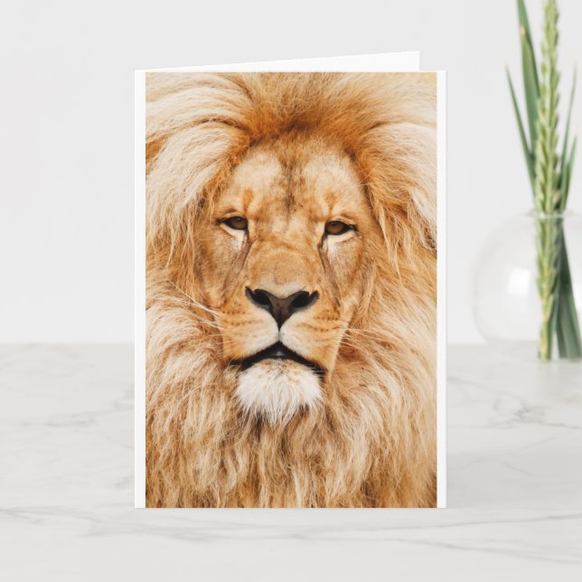 Lion Greeting Card (Front)