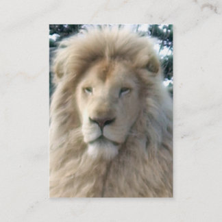 Lion Head business card black chubby