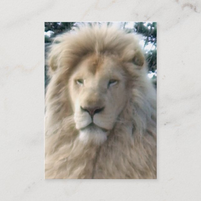 Lion Head business card black chubby (Front)