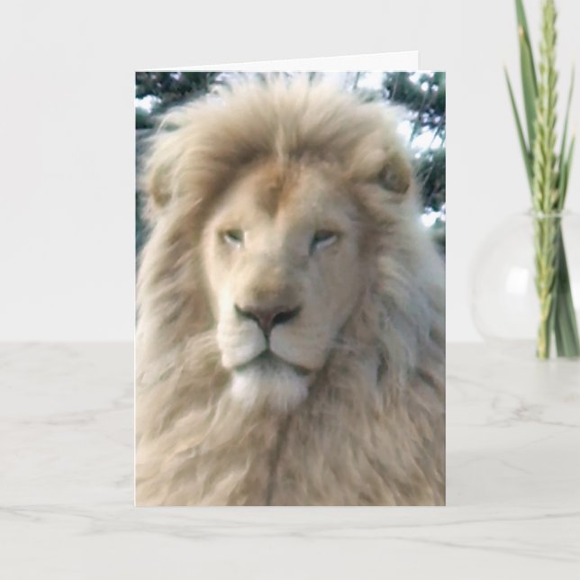 Lion Head 'Happy Birthday' card (Front)
