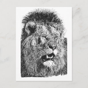 Lion Head Print Black White Wildlife Artwork Postcard