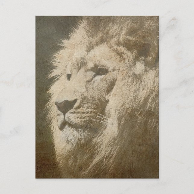 Lion Head The King Modern Pop Art Template Animal Postcard (Front)