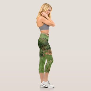 Lion High waste leggings