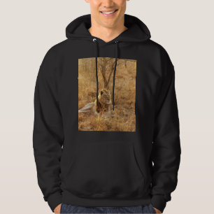 Lion Hoodie