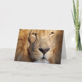 Lion Images Greeting Card