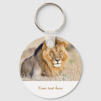 Lion in Africa wildlife Big Cat personalised text Key Ring