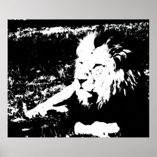 Lion in Black and White Poster