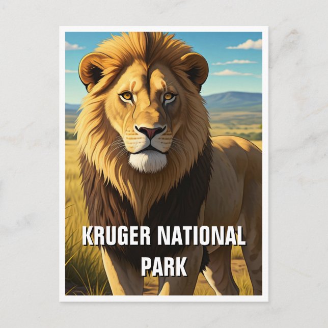 Lion in Kruger National Park South Africa Postcard (Front)
