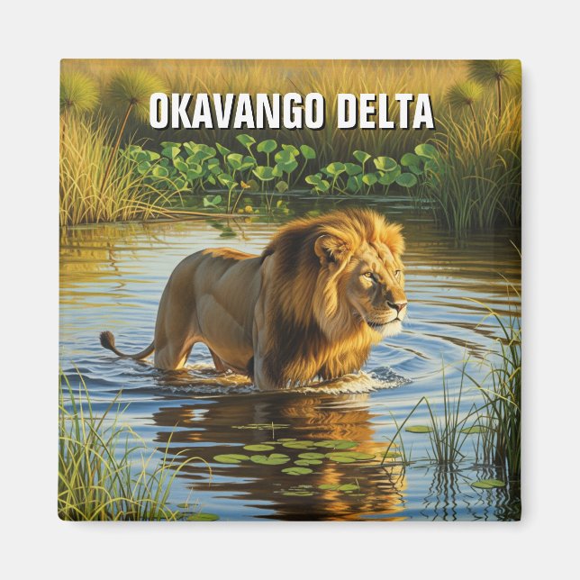 Lion in Okavango Delta Botswana Magnet (Front)