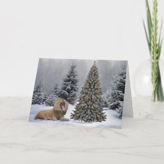 Lion in snow scene holiday card