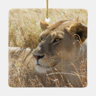 Lion in the laying in the high Serengeti grass Ceramic Tree Decoration
