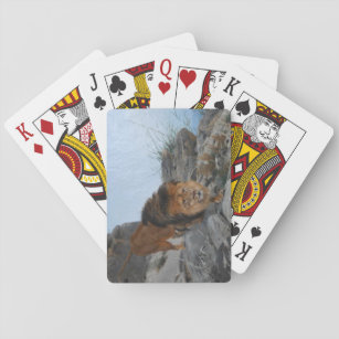 Lion in the Mountains (by Richard Friese) Playing Cards