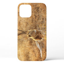 Lion iPhone 12 Case