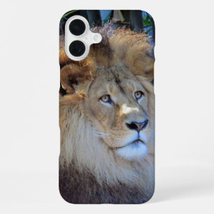 lion iPhone 16 plus case