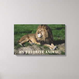 Lion is My Favourite Animal! Canvas Print