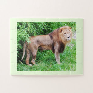 Lion Jigsaw Puzzle