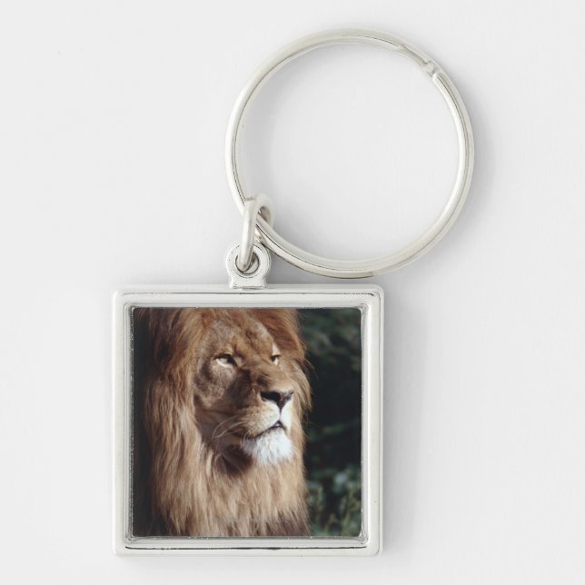 lion key ring (Front)