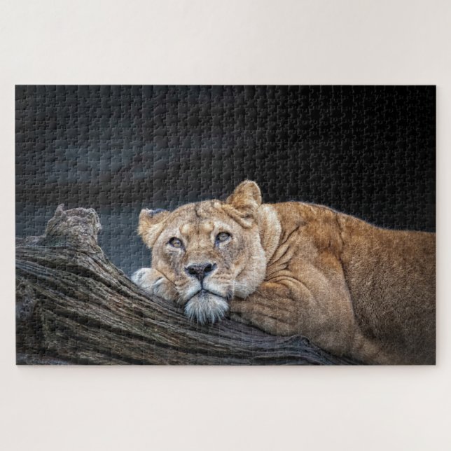 Lion King of the Jungle Jigsaw Puzzle (Horizontal)
